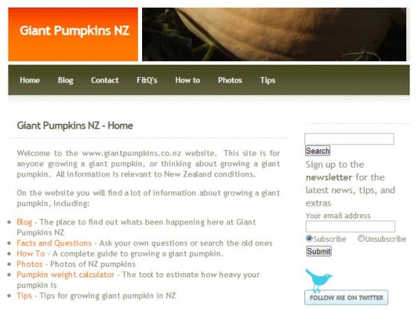 Giant Pumpkin 2010 Screen Shot