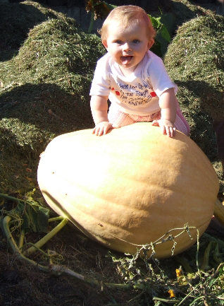 Kloey Pumpkin