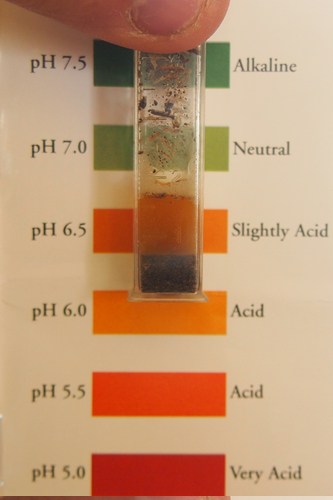 PH Test Results