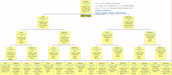 1784 Glasier Family Tree