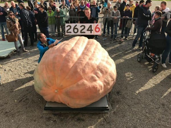 Mathias Willemijns with his World Record Pumpkin