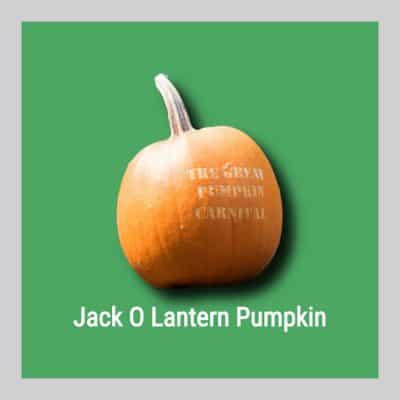 Jack o Lantern Pumpkin