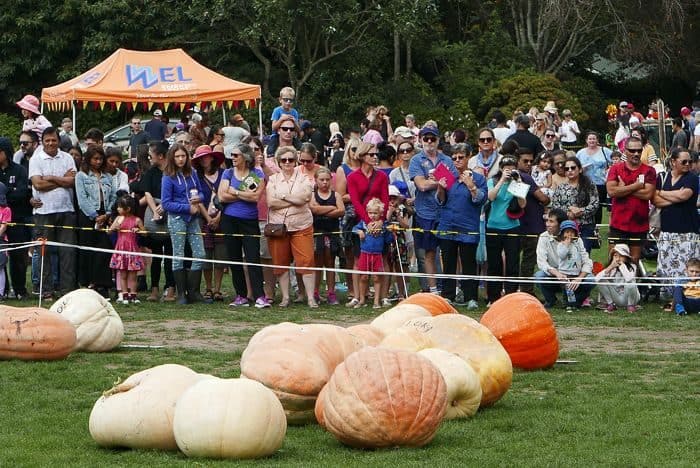 Part of the Crowd at The Great Pumpkin Carnival
