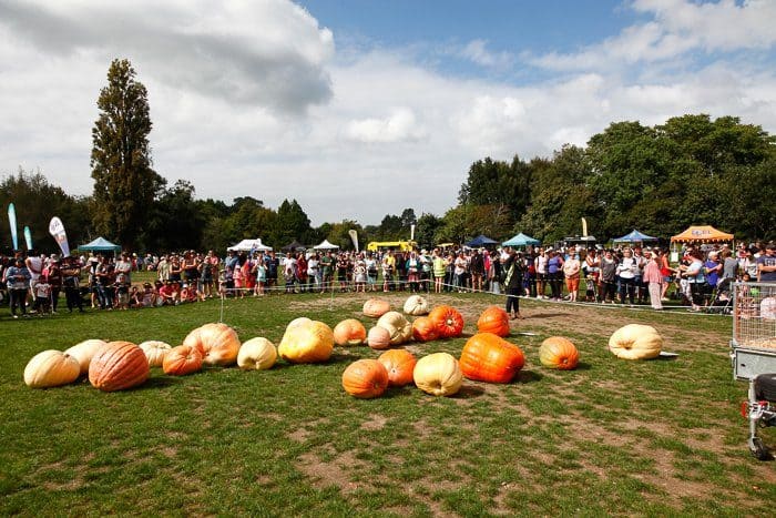 The 2018 Giant Pumpkin Lineup at The Great Pumpkin Carnival
