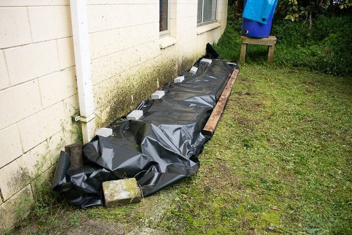 Black Polythene weighted down to kill weeds