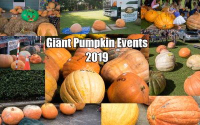 Giant Pumpkin Events 2019 – The List