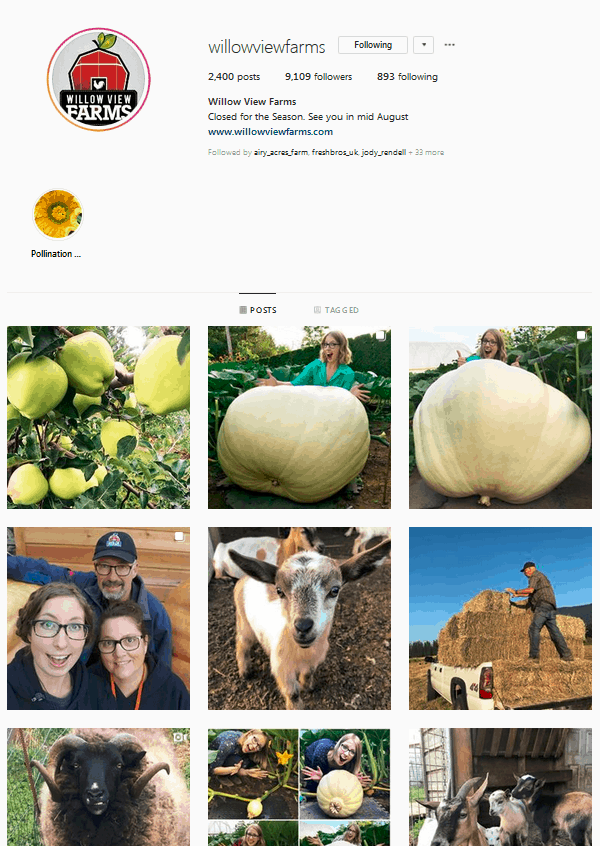 Willow View Farms Instagram Profile