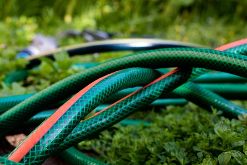 Garden hose on ground