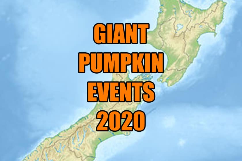 Giant pumpkin events 2020 image for NZ
