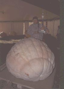 Gary Burke 1092 lb pumpkin