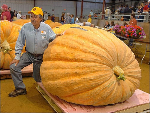 Joe Jutras 1689 lb Pumpkin