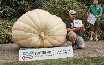 New NZ Giant Pumpkin Record 844.5kg