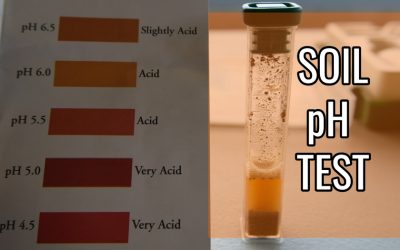 Soil pH Testing the Tiny Patch 2.0