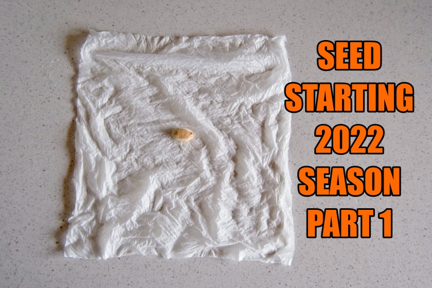 Seed Starting 2022 Season Part 1