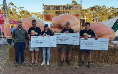 New South African Giant Pumpkin Record 2022 – 904.5kg