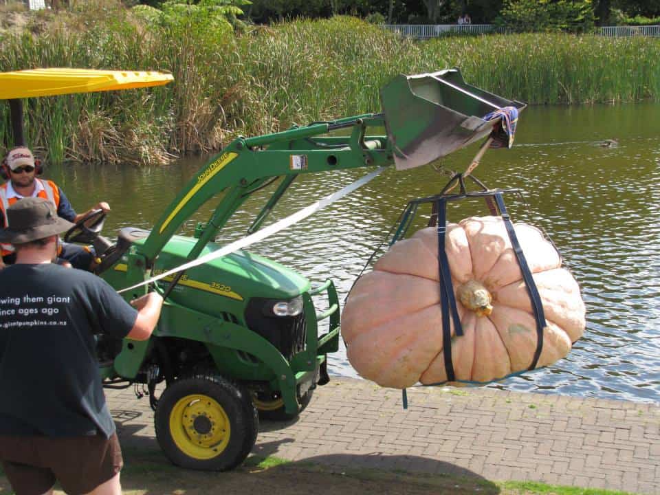 A green tractor pulling a pumpkin.