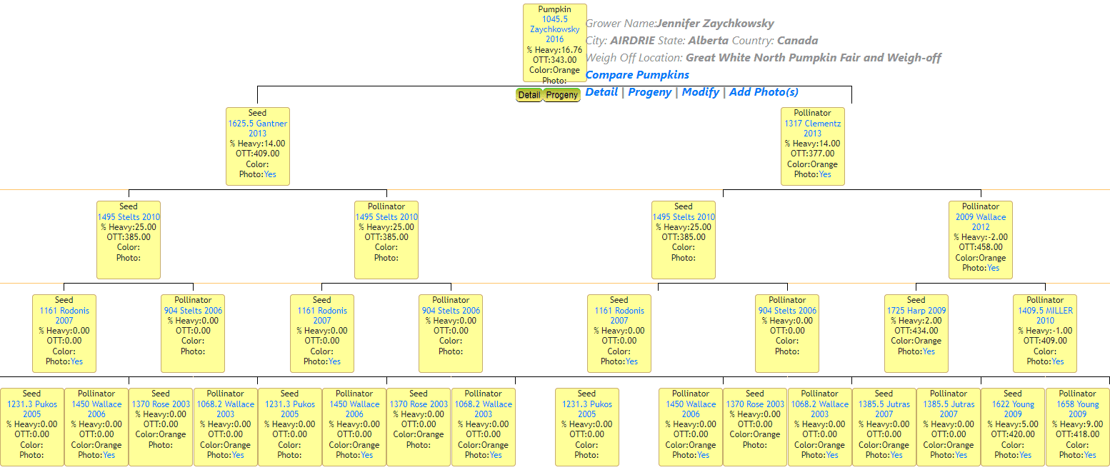 An example of a family tree.