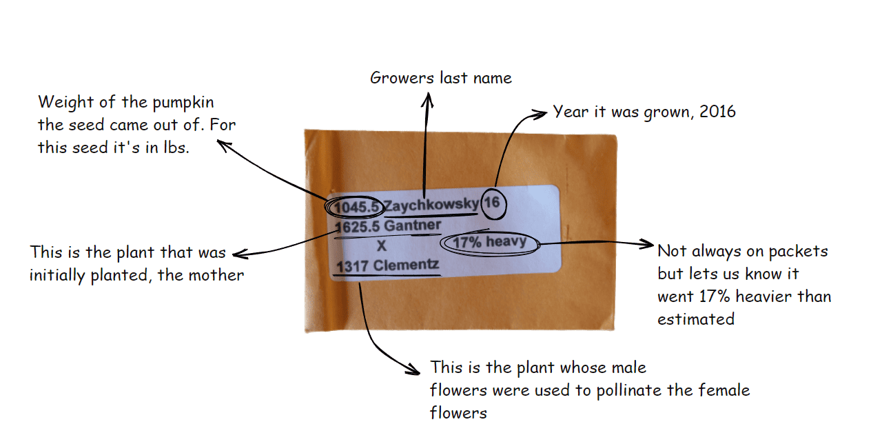 A diagram showing the contents of a package.